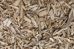 biomass boilers Frenchbeer